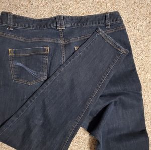 Lane Bryant Jeggings